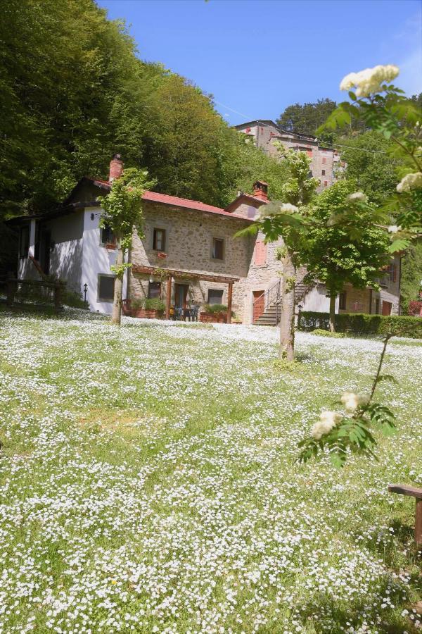 Il Molino Di Serravalle Бібб'єна Екстер'єр фото