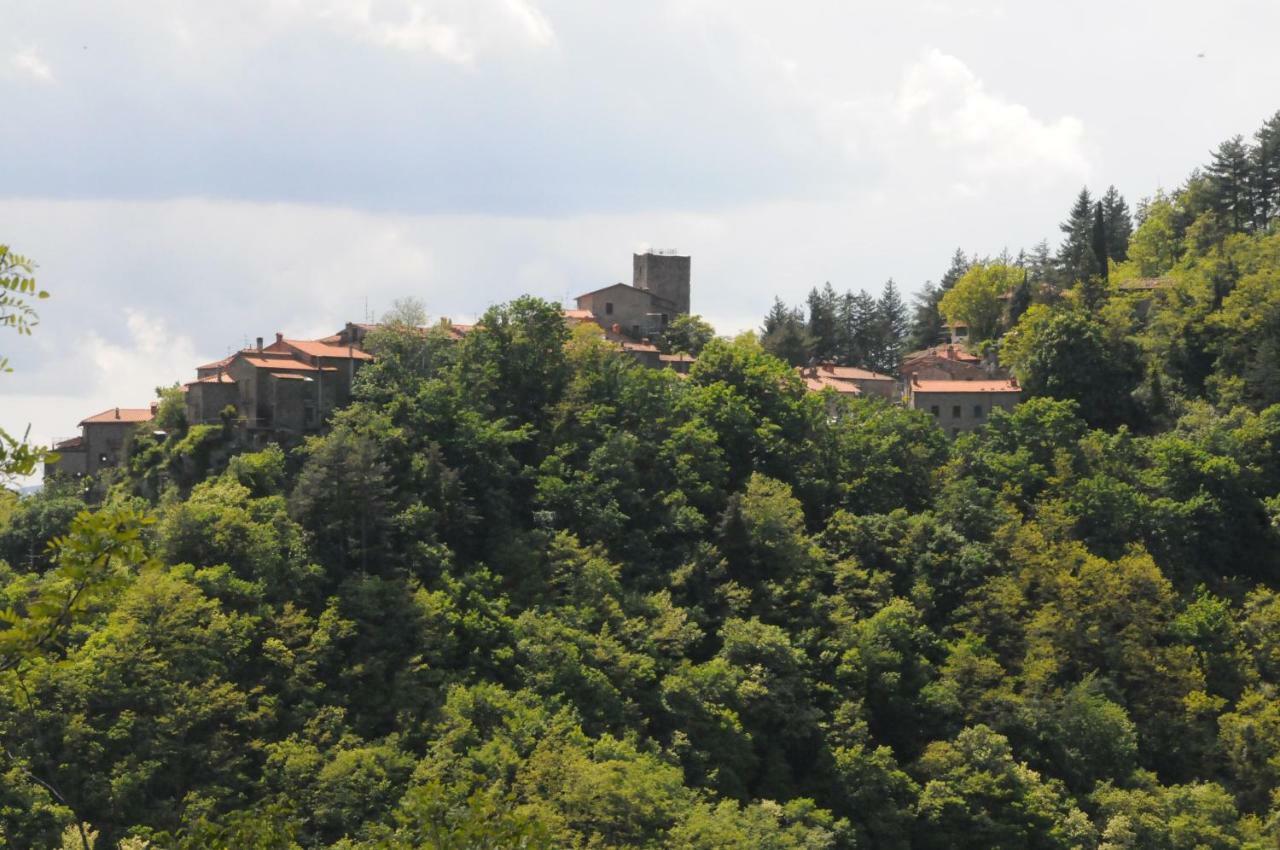 Il Molino Di Serravalle Бібб'єна Екстер'єр фото